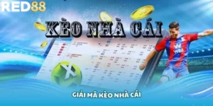 Kèo Nhà Cái Red88 Và Những Bí Quyết Soi Kèo Thắng Lớn