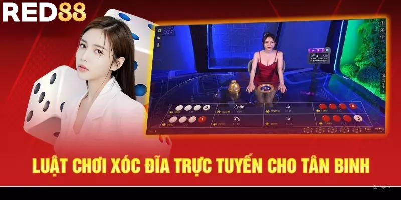 Luật trải nghiệm cá cược xóc đĩa hiệu quả cho tân thủ 